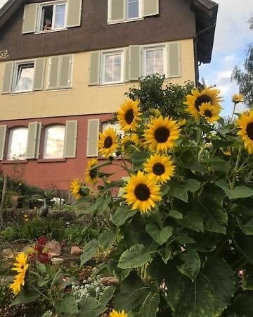 Sonnige Ferienwohnung Schramberg Exterior photo